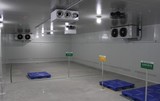 cold storage design