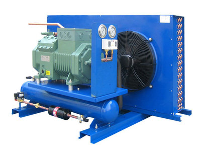 Bizer semi-hermetic compressor condensing unit