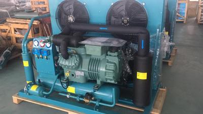 Germany Bitzer condensing units